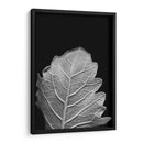 Hoja Sorprendente Iii - Renee W. Stramel | Cuadro decorativo de Canvas Lab