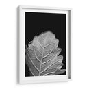 Hoja Sorprendente Iii - Renee W. Stramel | Cuadro decorativo de Canvas Lab