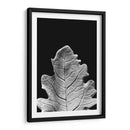 Hoja Sorprendente Iv - Renee W. Stramel | Cuadro decorativo de Canvas Lab