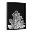 Hoja Sorprendente Iv - Renee W. Stramel | Cuadro decorativo de Canvas Lab