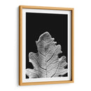 Hoja Sorprendente Iv - Renee W. Stramel | Cuadro decorativo de Canvas Lab