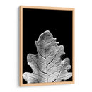 Hoja Sorprendente Iv - Renee W. Stramel | Cuadro decorativo de Canvas Lab