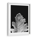 Hoja Sorprendente Iv - Renee W. Stramel | Cuadro decorativo de Canvas Lab