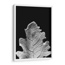 Hoja Sorprendente Iv - Renee W. Stramel | Cuadro decorativo de Canvas Lab