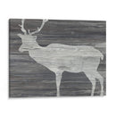 Plains Vintage Animales Iii - June Erica Vess | Cuadro decorativo de Canvas Lab