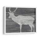 Plains Vintage Animales Iii - June Erica Vess | Cuadro decorativo de Canvas Lab