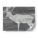 Plains Vintage Animales Iii - June Erica Vess | Cuadro decorativo de Canvas Lab