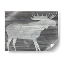 Vintage Plains Animales Iv - June Erica Vess | Cuadro decorativo de Canvas Lab