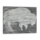 Vintage Plains Animales Vi - June Erica Vess | Cuadro decorativo de Canvas Lab