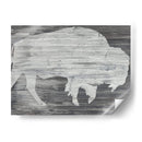 Vintage Plains Animales Vi - June Erica Vess | Cuadro decorativo de Canvas Lab