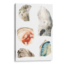 Segmentos De Geode Iv - June Erica Vess | Cuadro decorativo de Canvas Lab