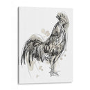 Fowl Feathered Fowl Iii - June Erica Vess | Cuadro decorativo de Canvas Lab