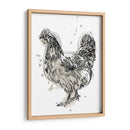 Aves De Plumas Iv - June Erica Vess | Cuadro decorativo de Canvas Lab