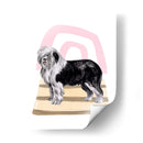 Solo Casa Iv - Melissa Wang | Cuadro decorativo de Canvas Lab