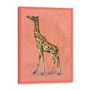 Animales Africanos En Coral Ii - Studio W | Cuadro decorativo de Canvas Lab