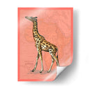 Animales Africanos En Coral Ii - Studio W | Cuadro decorativo de Canvas Lab