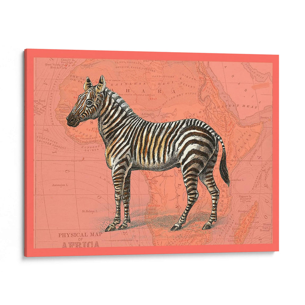 Animales Africanos En Coral Iv - Studio W | Cuadro decorativo de Canvas Lab