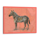 Animales Africanos En Coral Iv - Studio W | Cuadro decorativo de Canvas Lab