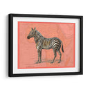 Animales Africanos En Coral Iv - Studio W | Cuadro decorativo de Canvas Lab