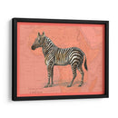 Animales Africanos En Coral Iv - Studio W | Cuadro decorativo de Canvas Lab