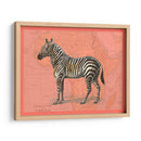 Animales Africanos En Coral Iv - Studio W | Cuadro decorativo de Canvas Lab