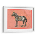 Animales Africanos En Coral Iv - Studio W | Cuadro decorativo de Canvas Lab