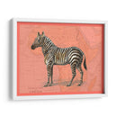 Animales Africanos En Coral Iv - Studio W | Cuadro decorativo de Canvas Lab