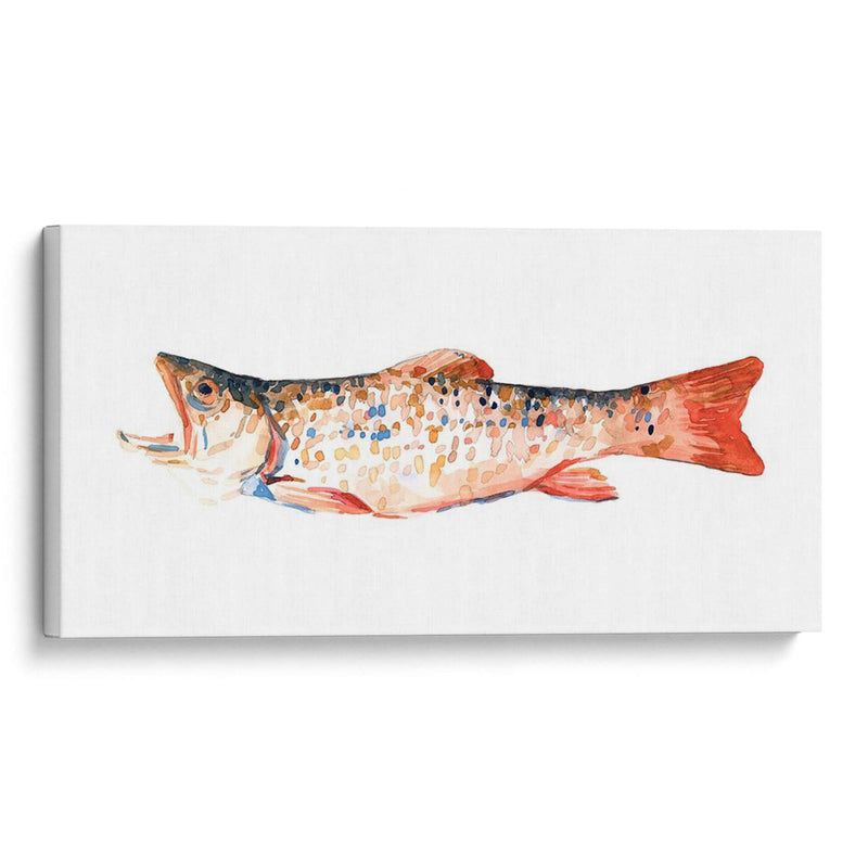 Trucha Pecosa I - Emma Scarvey | Cuadro decorativo de Canvas Lab