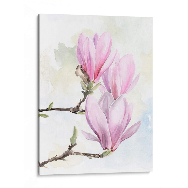 Magnolia Florece Yo - Jennifer Paxton Parker | Cuadro decorativo de Canvas Lab