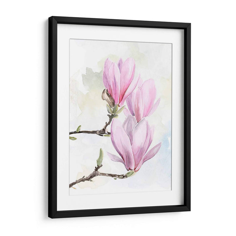 Magnolia Florece Yo - Jennifer Paxton Parker | Cuadro decorativo de Canvas Lab