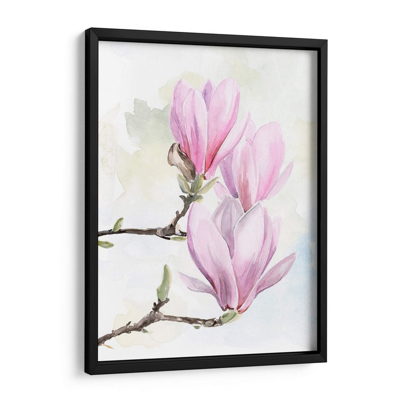 Magnolia Florece Yo - Jennifer Paxton Parker | Cuadro decorativo de Canvas Lab