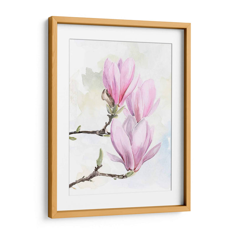 Magnolia Florece Yo - Jennifer Paxton Parker | Cuadro decorativo de Canvas Lab