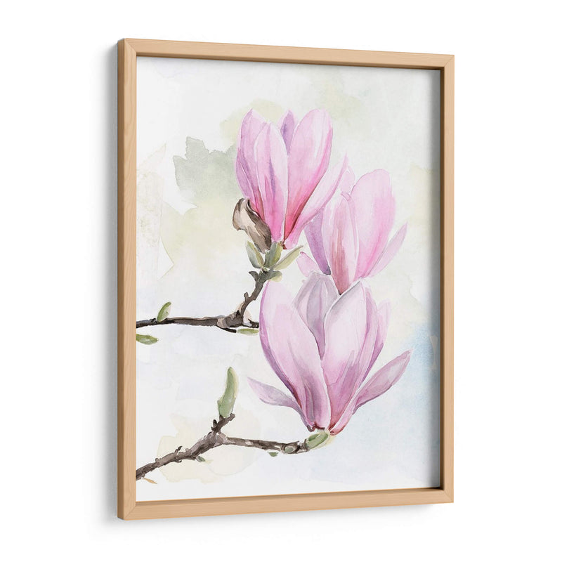 Magnolia Florece Yo - Jennifer Paxton Parker | Cuadro decorativo de Canvas Lab