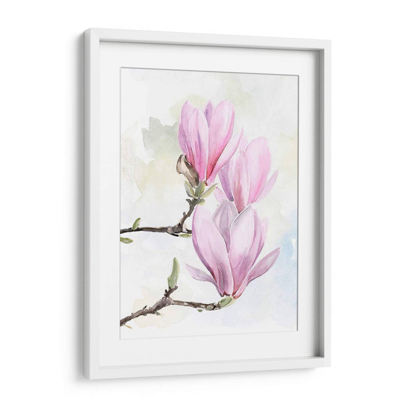 Magnolia Florece Yo - Jennifer Paxton Parker | Cuadro decorativo de Canvas Lab