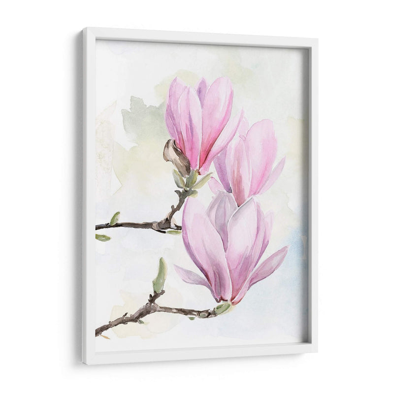 Magnolia Florece Yo - Jennifer Paxton Parker | Cuadro decorativo de Canvas Lab