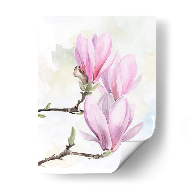 Magnolia Florece Yo - Jennifer Paxton Parker | Cuadro decorativo de Canvas Lab