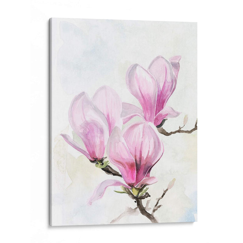 Magnolia Blooms Ii - Jennifer Paxton Parker | Cuadro decorativo de Canvas Lab