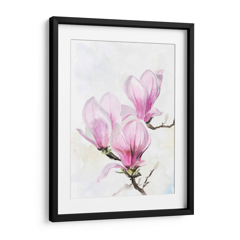 Magnolia Blooms Ii - Jennifer Paxton Parker | Cuadro decorativo de Canvas Lab