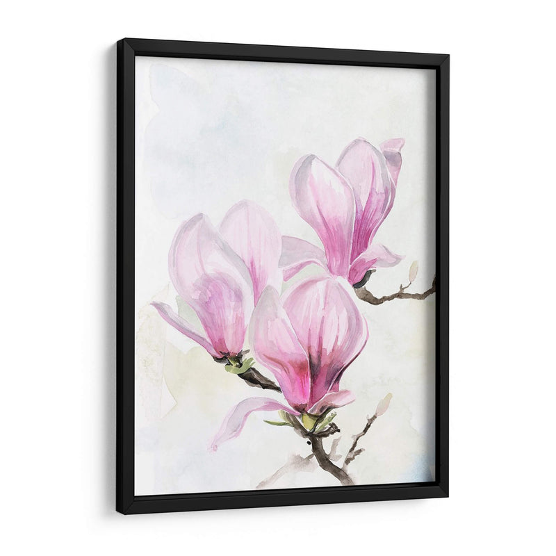 Magnolia Blooms Ii - Jennifer Paxton Parker | Cuadro decorativo de Canvas Lab