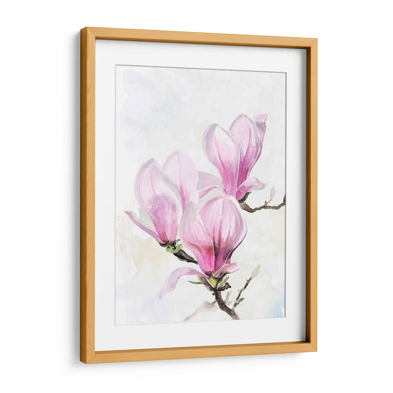 Magnolia Blooms Ii - Jennifer Paxton Parker | Cuadro decorativo de Canvas Lab