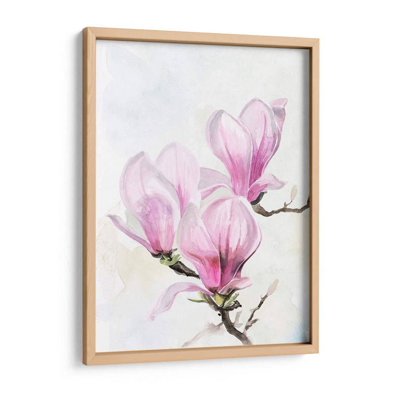 Magnolia Blooms Ii - Jennifer Paxton Parker | Cuadro decorativo de Canvas Lab