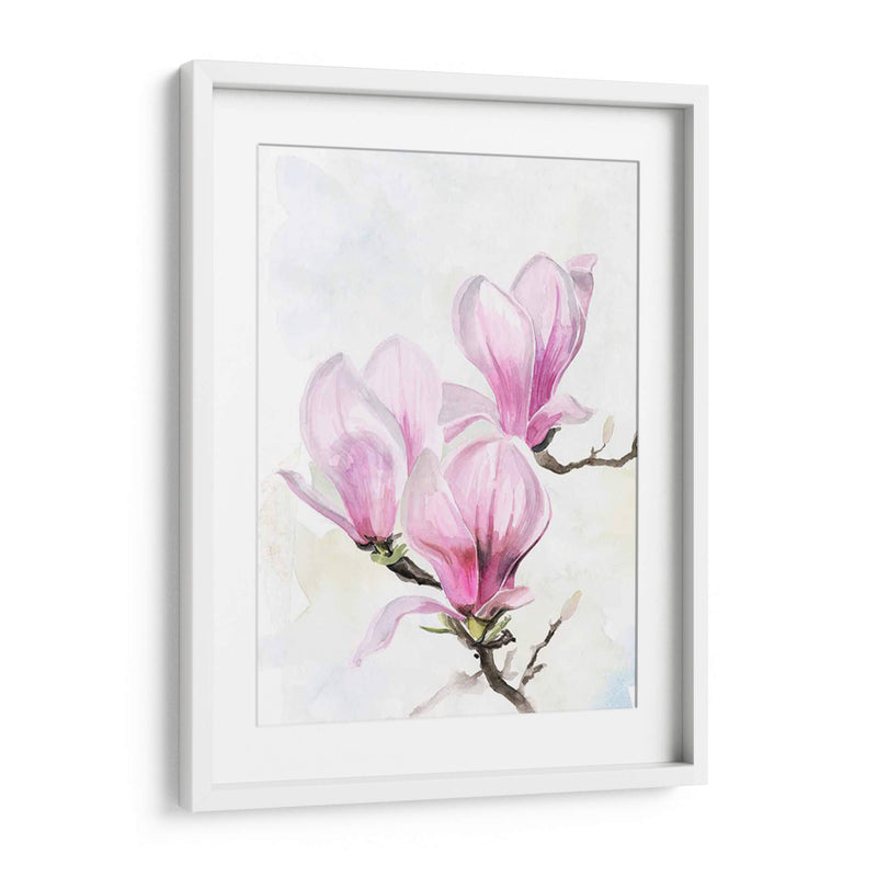 Magnolia Blooms Ii - Jennifer Paxton Parker | Cuadro decorativo de Canvas Lab