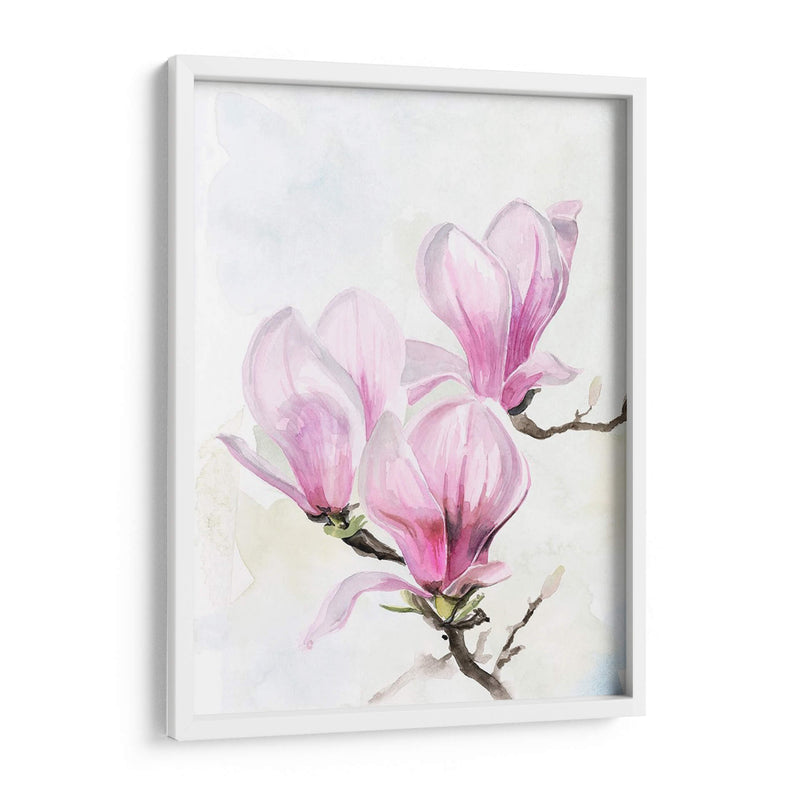 Magnolia Blooms Ii - Jennifer Paxton Parker | Cuadro decorativo de Canvas Lab