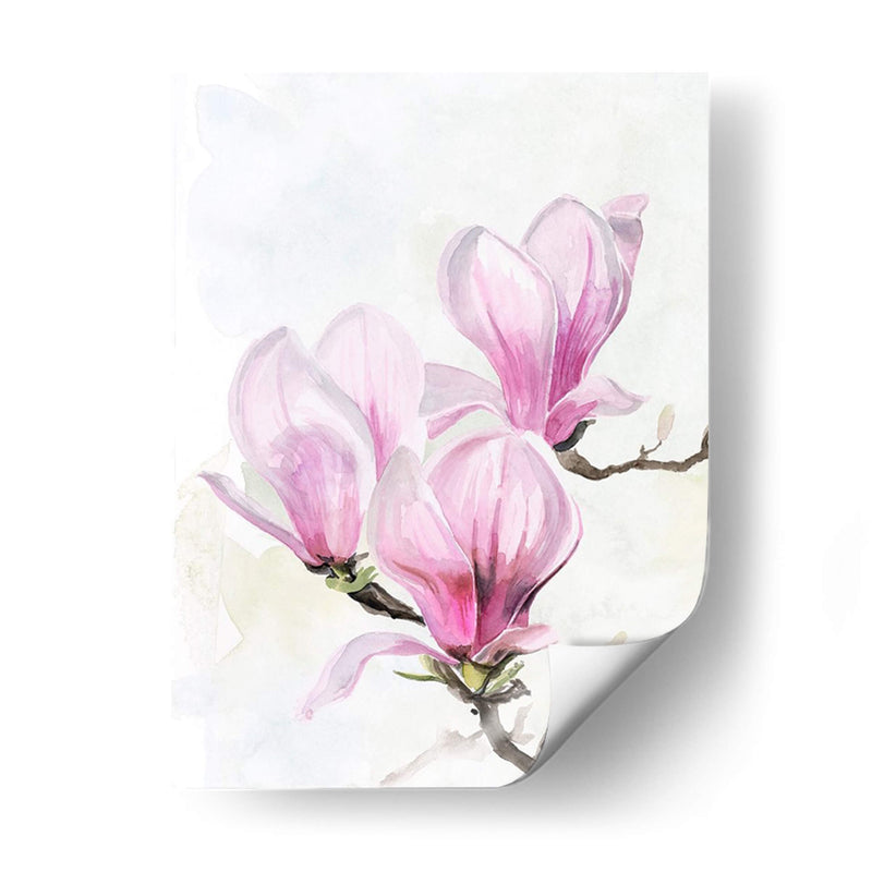 Magnolia Blooms Ii - Jennifer Paxton Parker | Cuadro decorativo de Canvas Lab