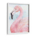 Retrato De Flamenco Rosa Ii - Jennifer Paxton Parker | Cuadro decorativo de Canvas Lab