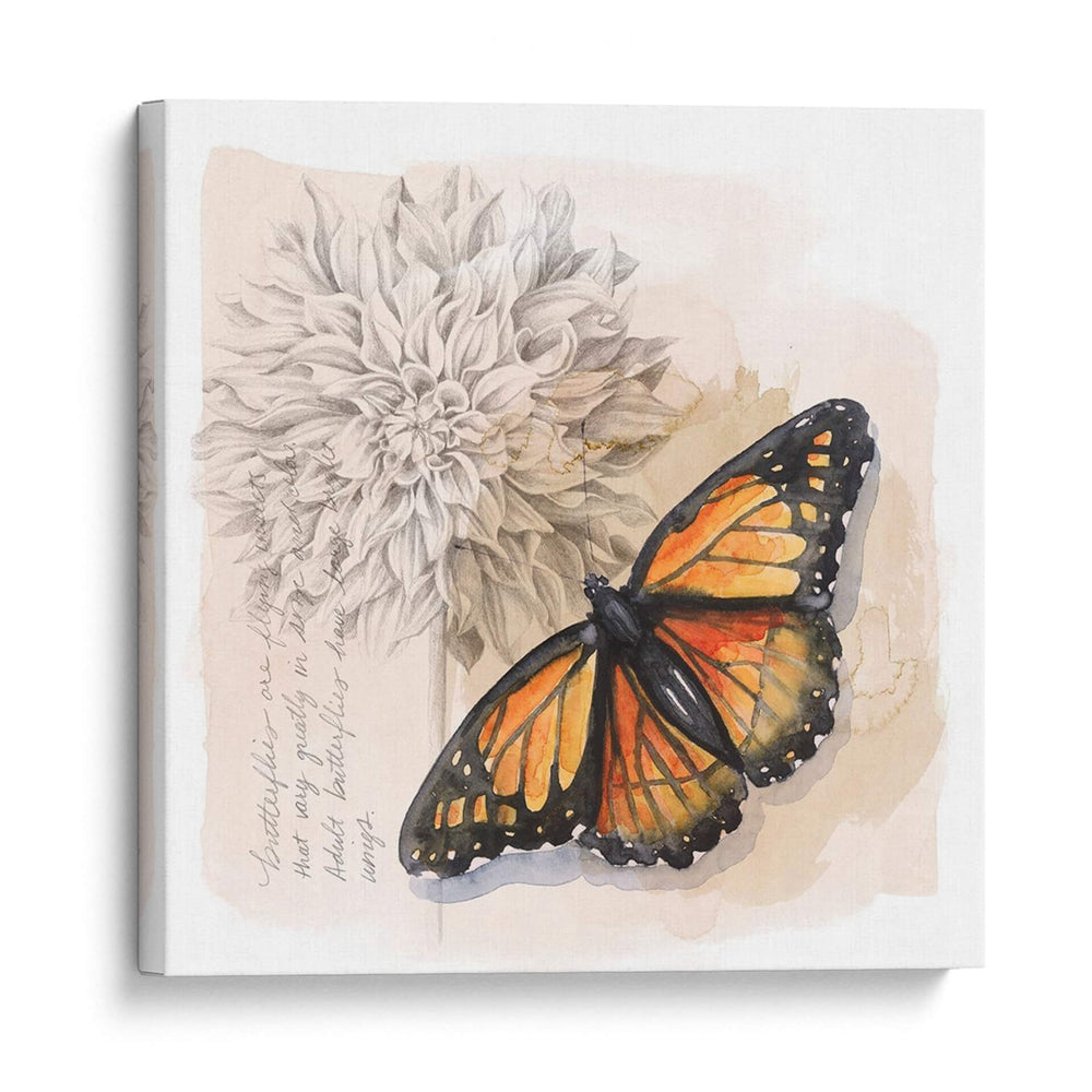 Caja De Sombra Mariposa I - Grace Popp | Cuadro decorativo de Canvas Lab