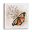 Caja De Sombra Mariposa I - Grace Popp | Cuadro decorativo de Canvas Lab