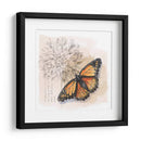 Caja De Sombra Mariposa I - Grace Popp | Cuadro decorativo de Canvas Lab