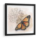 Caja De Sombra Mariposa I - Grace Popp | Cuadro decorativo de Canvas Lab