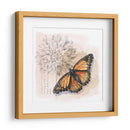 Caja De Sombra Mariposa I - Grace Popp | Cuadro decorativo de Canvas Lab